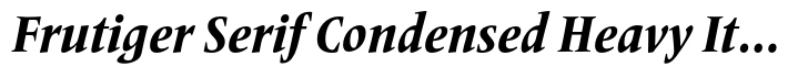 Frutiger Serif Pro Condensed Heavy Italic